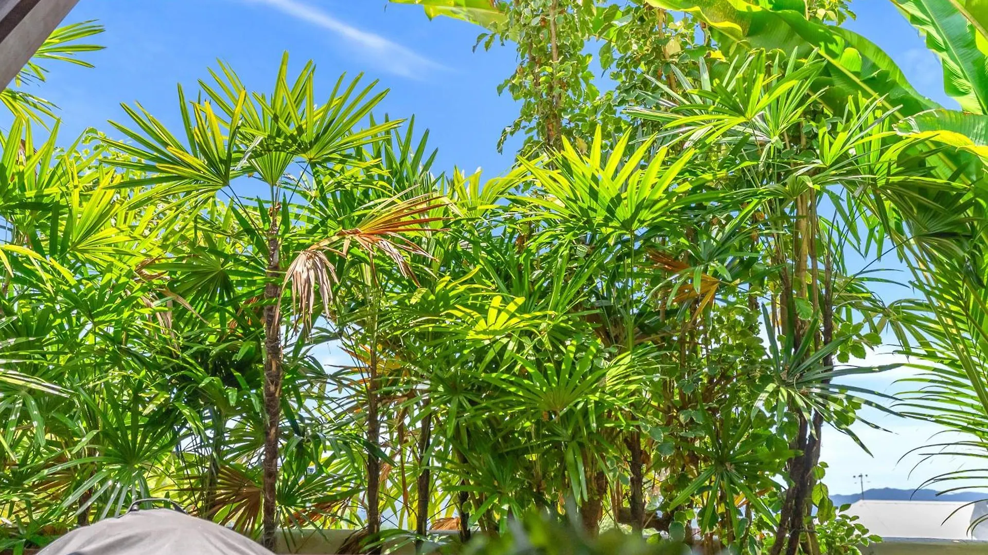 Villa Paradiso Pavilion - An Intimate Bali-Style Haven